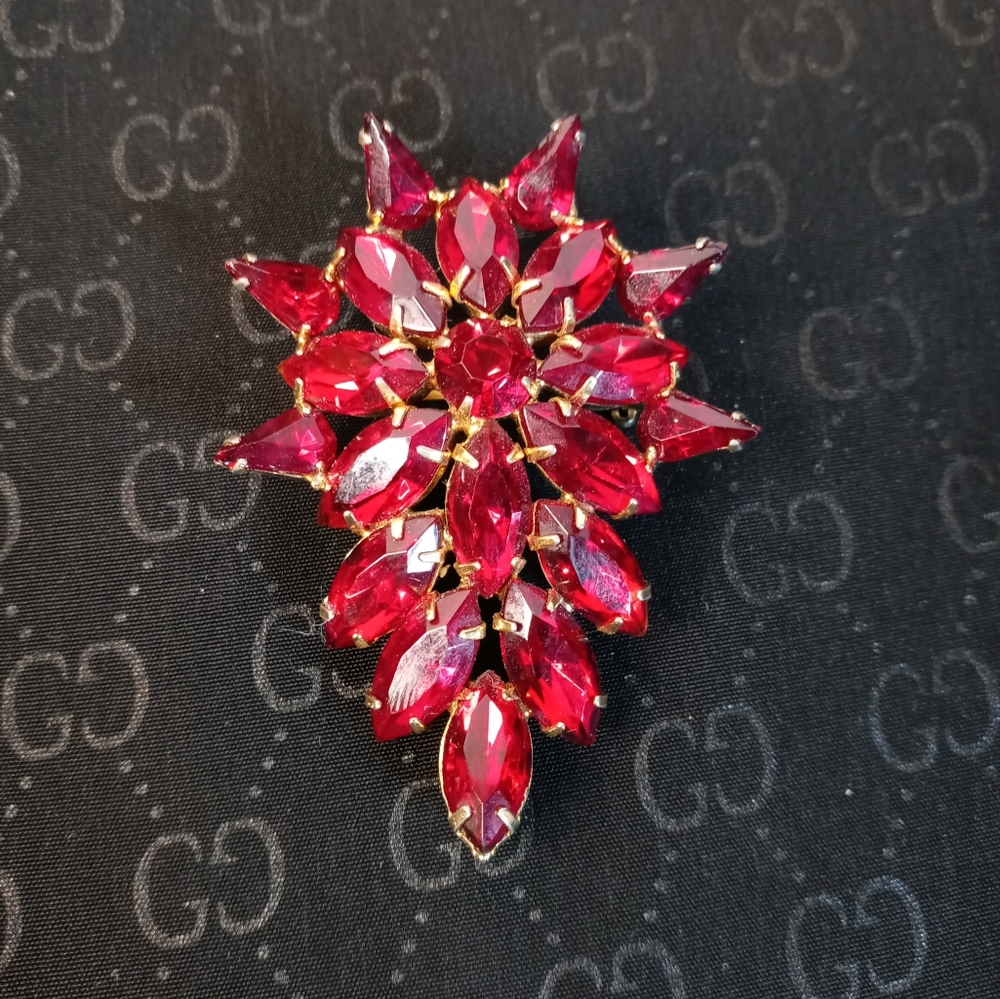 Tammy Jewels: Ruby Brooch